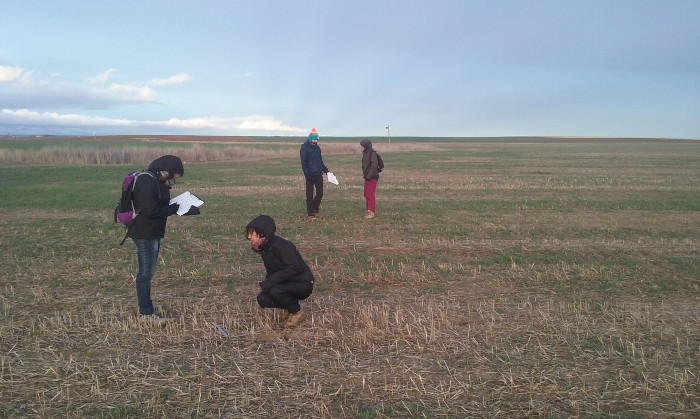 Estudiantes de ingeniería superior de Montes durante un muestreo de abundancias de topillo campesino