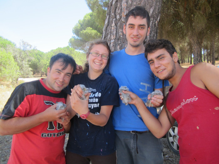 Asistentes a voluntariado de seguimiento de cajas nido sostienen unos pollos de autillo tras su anillamiento.