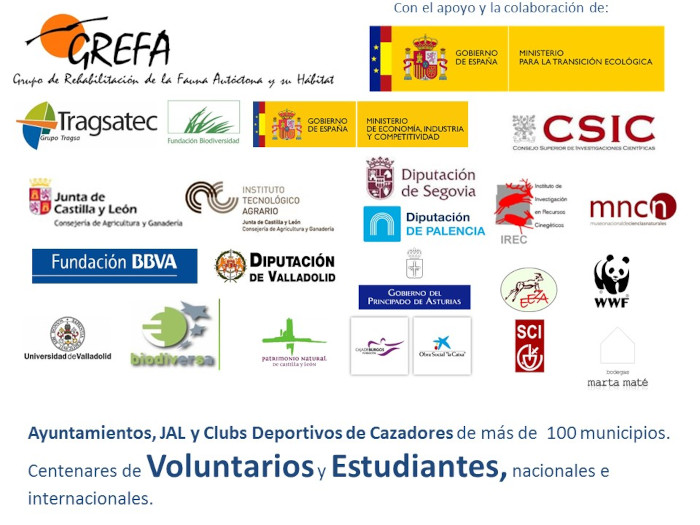 Colaboradores