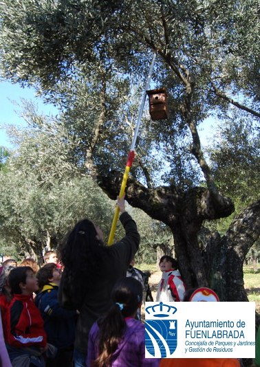 Control biológico de insectos en Fuenlabrada