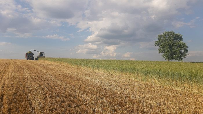Siega mecanizada en una zona con aguilucho cenizo. La colaboración con los agricultores es un punto clave del proyecto LIFE Pygargus. Foto: Palombar.