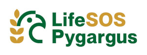logo life pygargus