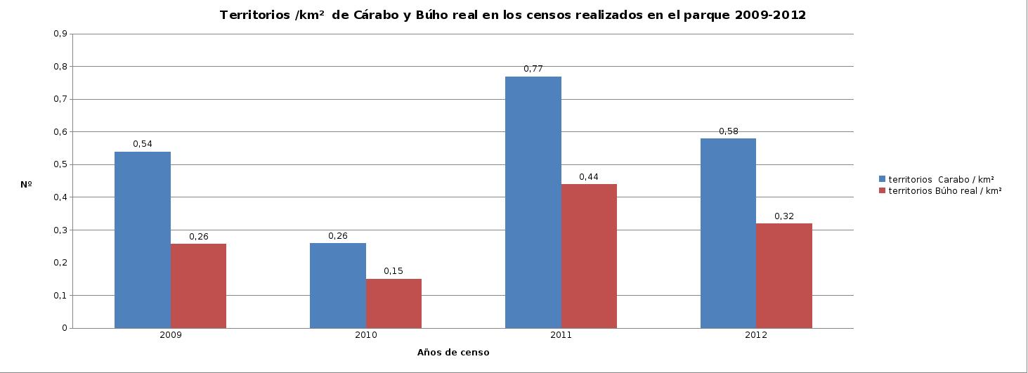 censo carabo buho real