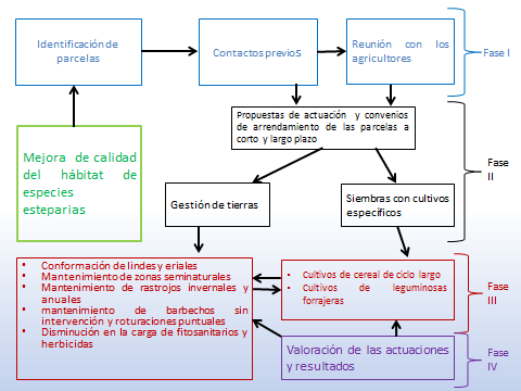Figura 1. Desarrollo de las fases llevadas a cabo en Torrejón de Velasco para ofrecer las diferentes alternativas agroambientales a los agricultores y mejorar la calidad del hábitat de especies esteparias