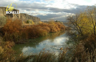 ZEPA Cortados y cantiles de los ríos Manzanares y Jarama  ES0000142