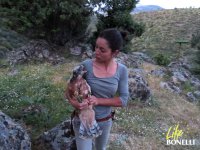 Liberación de Turón.