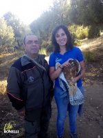 Liberación de Bedmar.