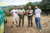 Flandres y Marne antes de ser liberadas.