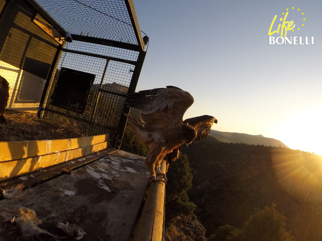 Ilustración 28.. Nótese el posadero demasiado liso en 2014.