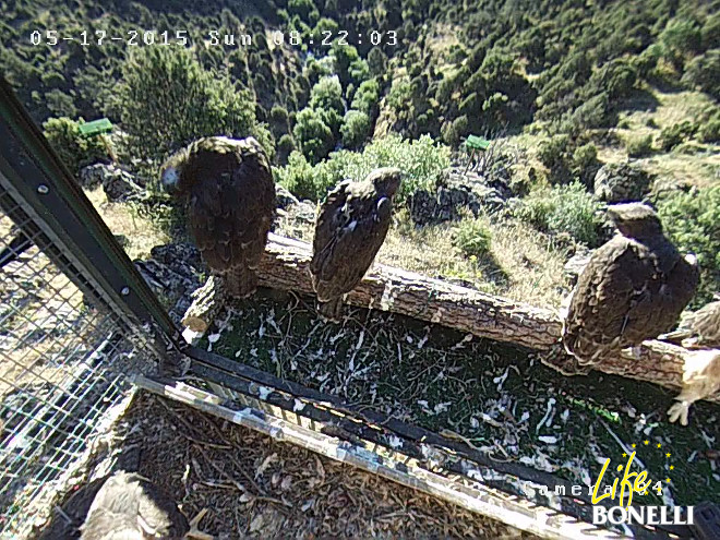 Ilustración 29. . Un posadero rugoso evita caídas.