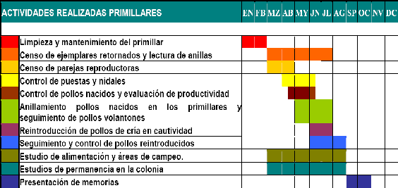 Figura.2.Cronograma de las actividades realizadas en los primillares