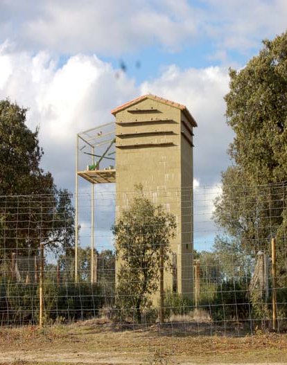 El primillar de Villaviciosa de Odón