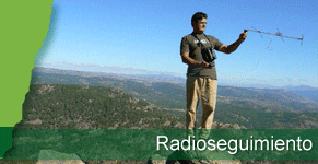 fh_radioseguimiento.png