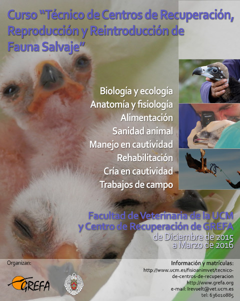 Abierto plazo de inscripción de la quinta edición del diploma UCM “Técnico de centros de recuperación, reproducción y reintroducción de fauna salvaje” 