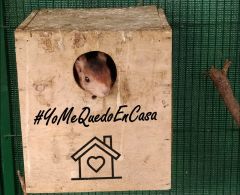 #YomeQuedoEnCasa