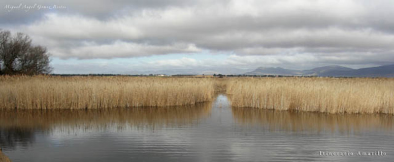 La tablas de Daimiel