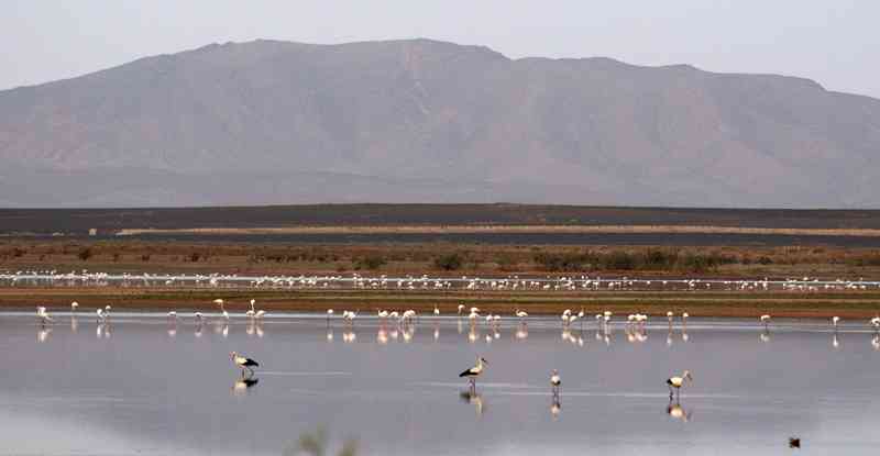 Laguna de Merzouga